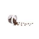 All For Paws Lifestyle 4 Pets 2-in-1 Stainless Drinking Bottle - Zach's Pet Shop