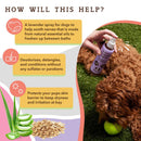 Natural Dog Company Calming Lavender Spritz - 8oz - Zach's Pet Shop