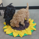 Sunflower Sniffer Mat