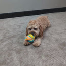 Pups Naughty Ball video