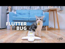 All For Paws Interactives Flutter Bug