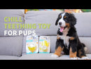 All For Paws Pups Cactus Chill Teething Toy