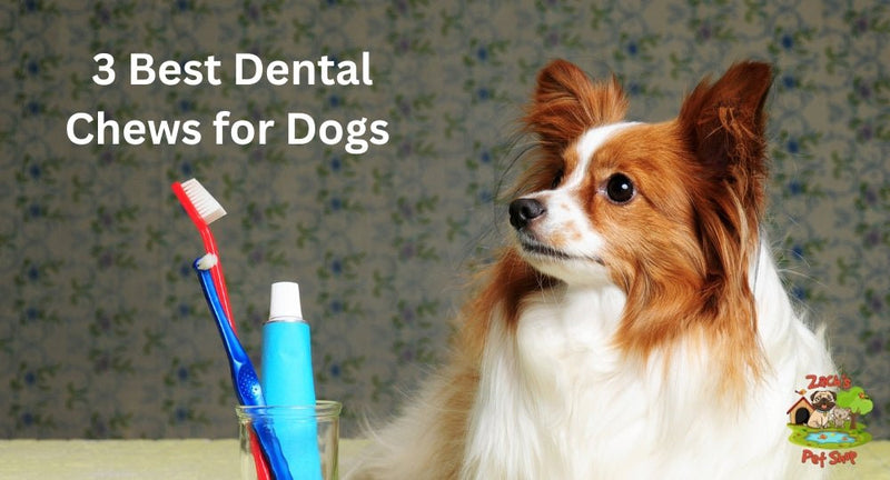 3 Best Dental Chews for Dogs to Support Healthy Teeth and Gums - Zach's Pet Shop