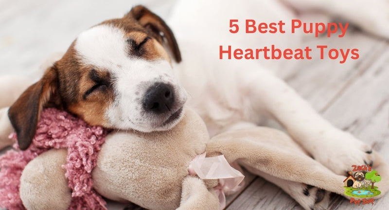 5 Best Puppy Heartbeat Toys - Zach's Pet Shop