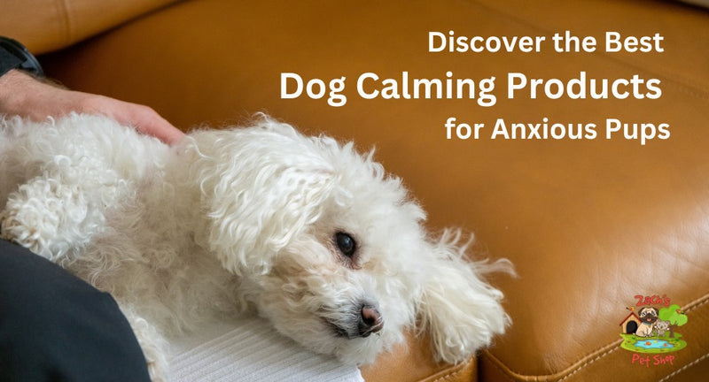 Discover the Best Dog Calming Products for Anxious Pups