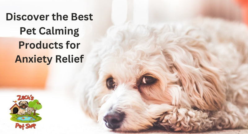 Discover the Best Pet Calming Products for Anxiety Relief