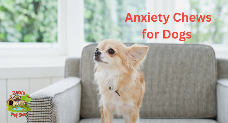 Anxiety Chews for Dogs: Effective Relief and Calming Treats