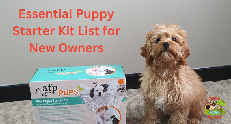 Essential Puppy Starter Kit List for New Owners