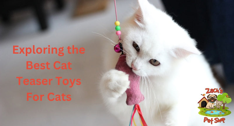 Exploring the Best Cat Teaser Toys For Cats