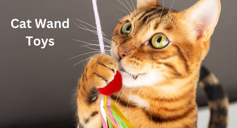 Exploring the Exciting World of Cat Wand Toys