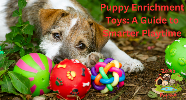 Puppy Enrichment Toys: A Guide to Smarter Playtime