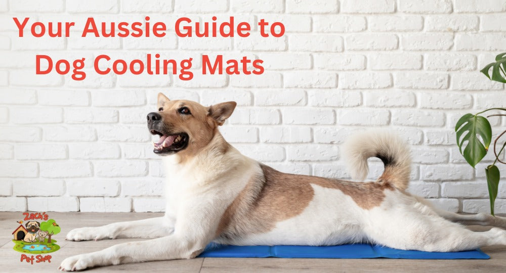 Beat the Heat: Your Aussie Guide to Dog Cooling Mats - Zach's Pet Shop