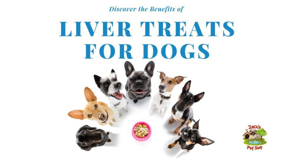 All the Benefits of Liver Treats for Dogs - Zach's Pet Shop