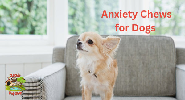 Anxiety Chews for Dogs: Effective Relief and Calming Treats - Zach's Pet Shop