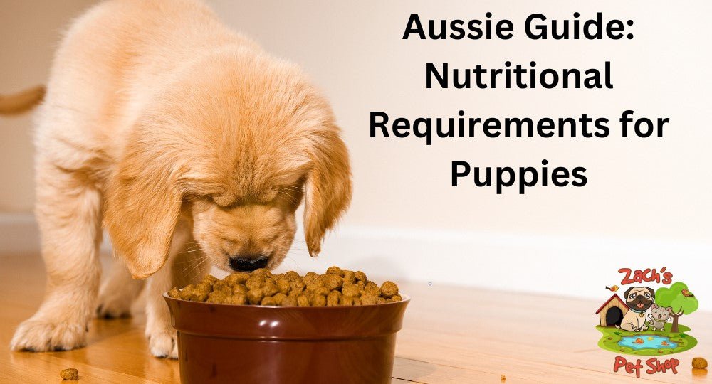 Puppy nutrition hotsell