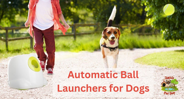 Aussie's Guide to Automatic Ball Launchers for Dogs - Zach's Pet Shop