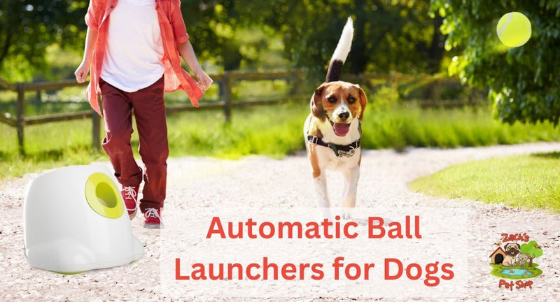 Aussie s Guide to Automatic Ball Launchers for Dogs Zach s Pet Shop