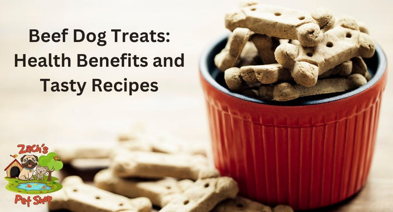 Beef Dog Treats: Health Benefits and Tasty Recipes - Zach's Pet Shop