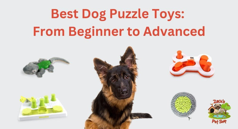 Best Dog Puzzle Toys: From Beginner to Advanced - Zach's Pet Shop