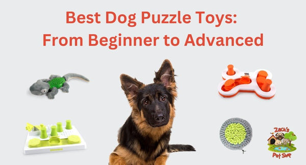 Puzzle toys for puppies best sale