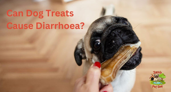 Can Dog Treats Cause Diarrhoea? Understanding the Connection - Zach's Pet Shop