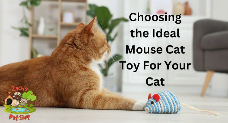 Choosing the Ideal Mouse Cat Toy For Your Cat - Zach's Pet Shop