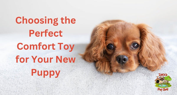 Choosing the Perfect Comfort Toy for Your New Puppy - Zach's Pet Shop