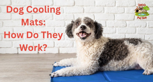 Cooling Mat For Dogs - How Do They Work? - Zach's Pet Shop