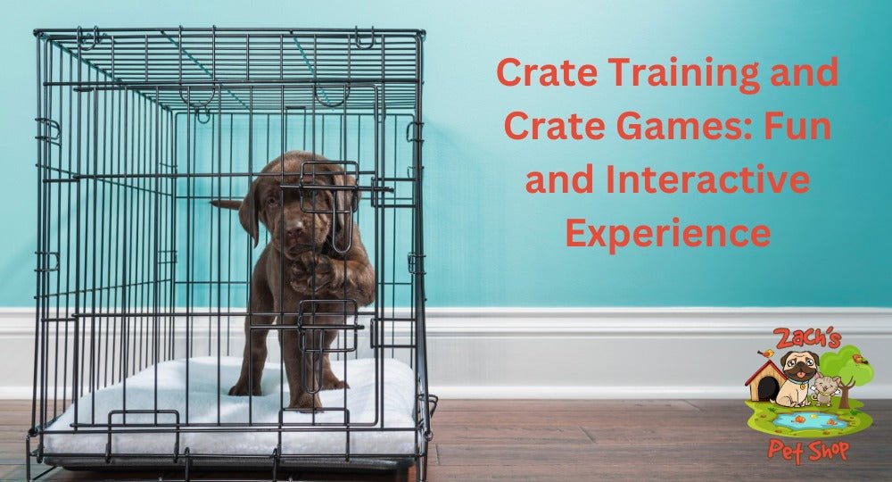 Crate Training and Crate Games - Zach's Pet Shop