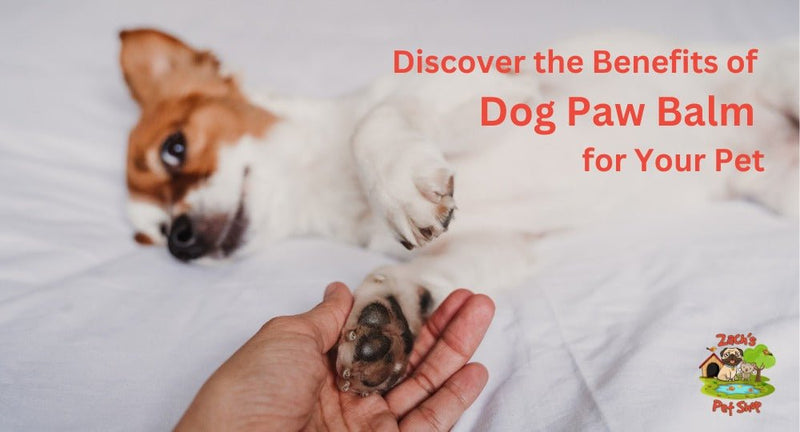 Discover the Benefits of Dog Paw Balm for Your Pet - Zach's Pet Shop