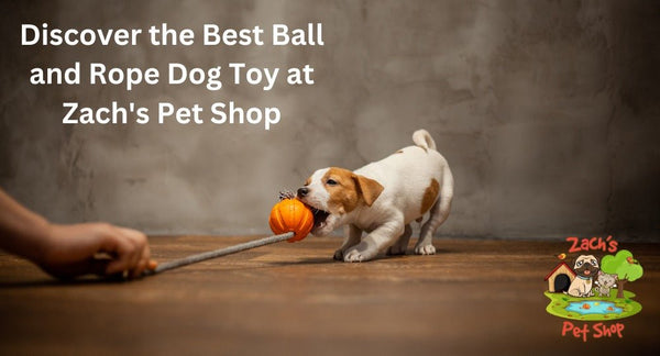 Discover the Best Ball and Rope Dog Toy at Zach's Pet Shop - Zach's Pet Shop