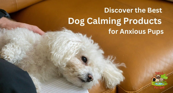 Discover the Best Dog Calming Products for Anxious Pups - Zach's Pet Shop