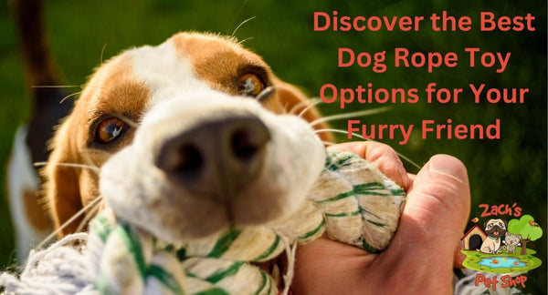 Discover the Best Dog Rope Toy Options for Your Furry Friend - Zach's Pet Shop