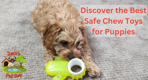 Discover the Best Safe Chew Toys for Puppies: A Guide - Zach's Pet Shop