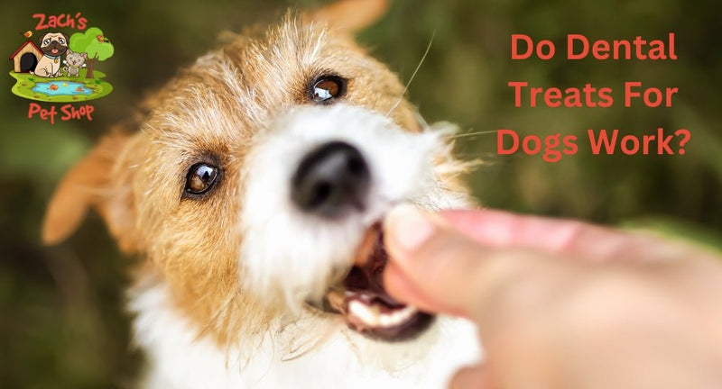 Do Dental Treats For Dogs Work? - Zach's Pet Shop