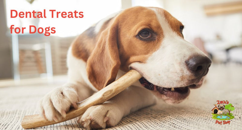 Do Dental Treats for Dogs Work? - Zach's Pet Shop