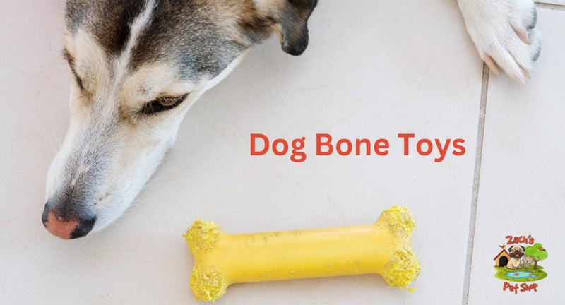 Dog Bone Toys: A Comprehensive Guide for Aussie Pet Owners - Zach's Pet Shop