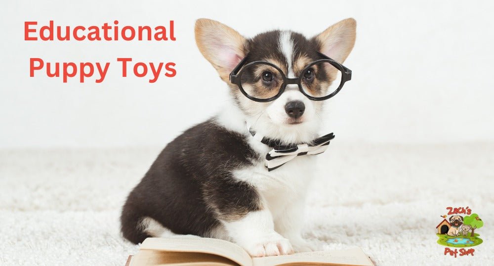 Educational Puppy Toys Top Picks for Aussie Dog Owners Zach s Pet Shop