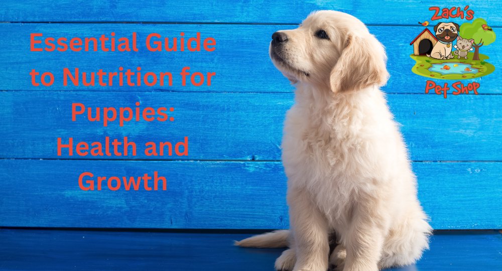 Essential Guide to Nutrition for Puppies Health and Growth Zach s Pet Shop