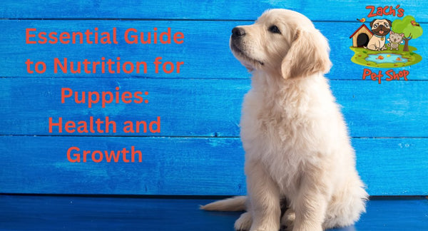 Essential Guide to Nutrition for Puppies: Health and Growth - Zach's Pet Shop