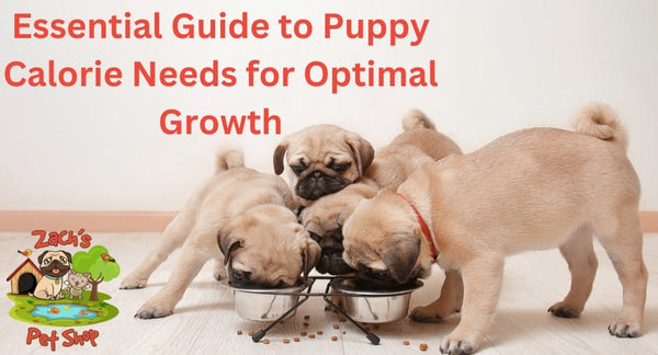 Essential Guide to Puppy Calorie Needs for Optimal Growth - Zach's Pet Shop