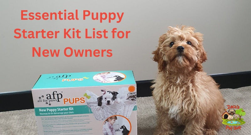 Essential Puppy Starter Kit List for New Owners Zach s Pet Shop