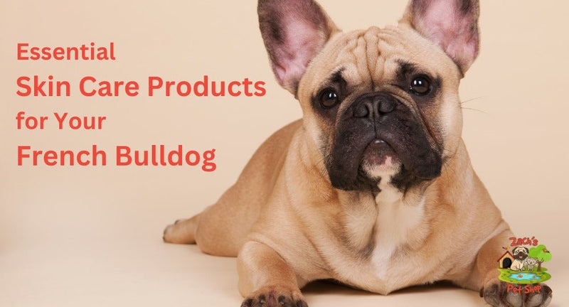 Essential Skin Care Products for Your French Bulldog - Zach's Pet Shop