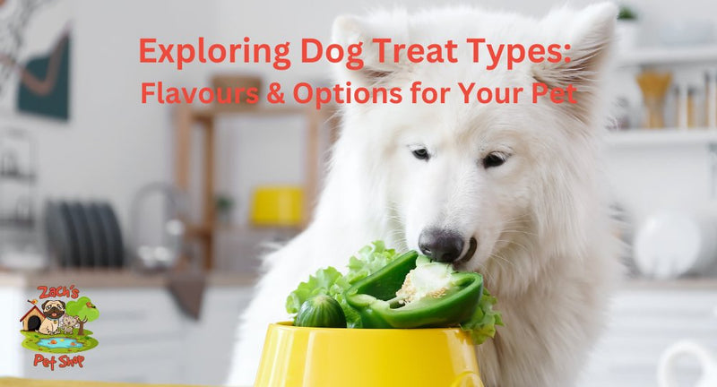 Exploring Dog Treat Types: Flavours and Options for Your Pet - Zach's Pet Shop