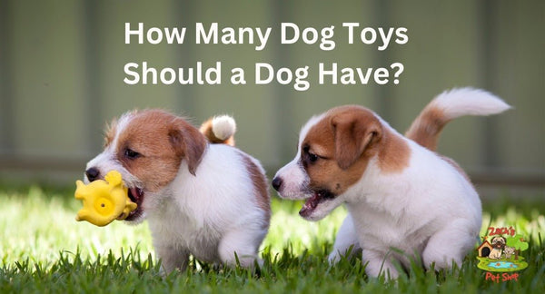 How Many Dog Toys Should a Dog Have? A Comprehensive Guide - Zach's Pet Shop