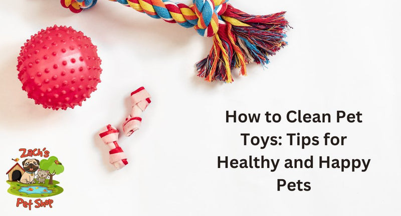 How to Clean Pet Toys: Tips for Healthy and Happy Pets - Zach's Pet Shop