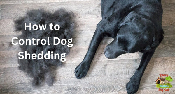 How to Control Dog Shedding: Effective Solutions for All Breeds - Zach's Pet Shop
