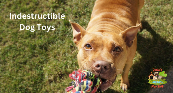 Indestructible Dog Toys: Your Ultimate Guide at Zach's - Zach's Pet Shop