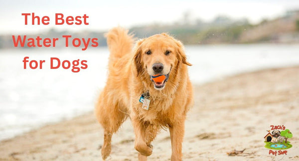 Making a Splash: The Best Water Toys for Dogs - Zach's Pet Shop