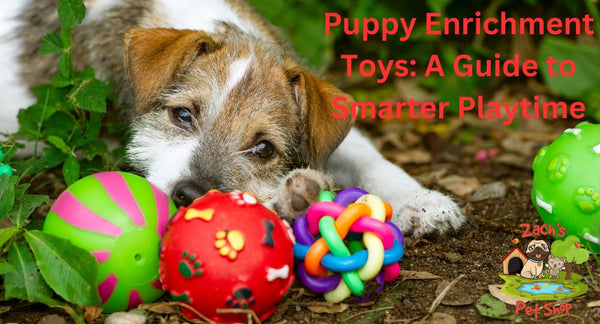 Puppy Enrichment Toys: A Guide to Smarter Playtime - Zach's Pet Shop